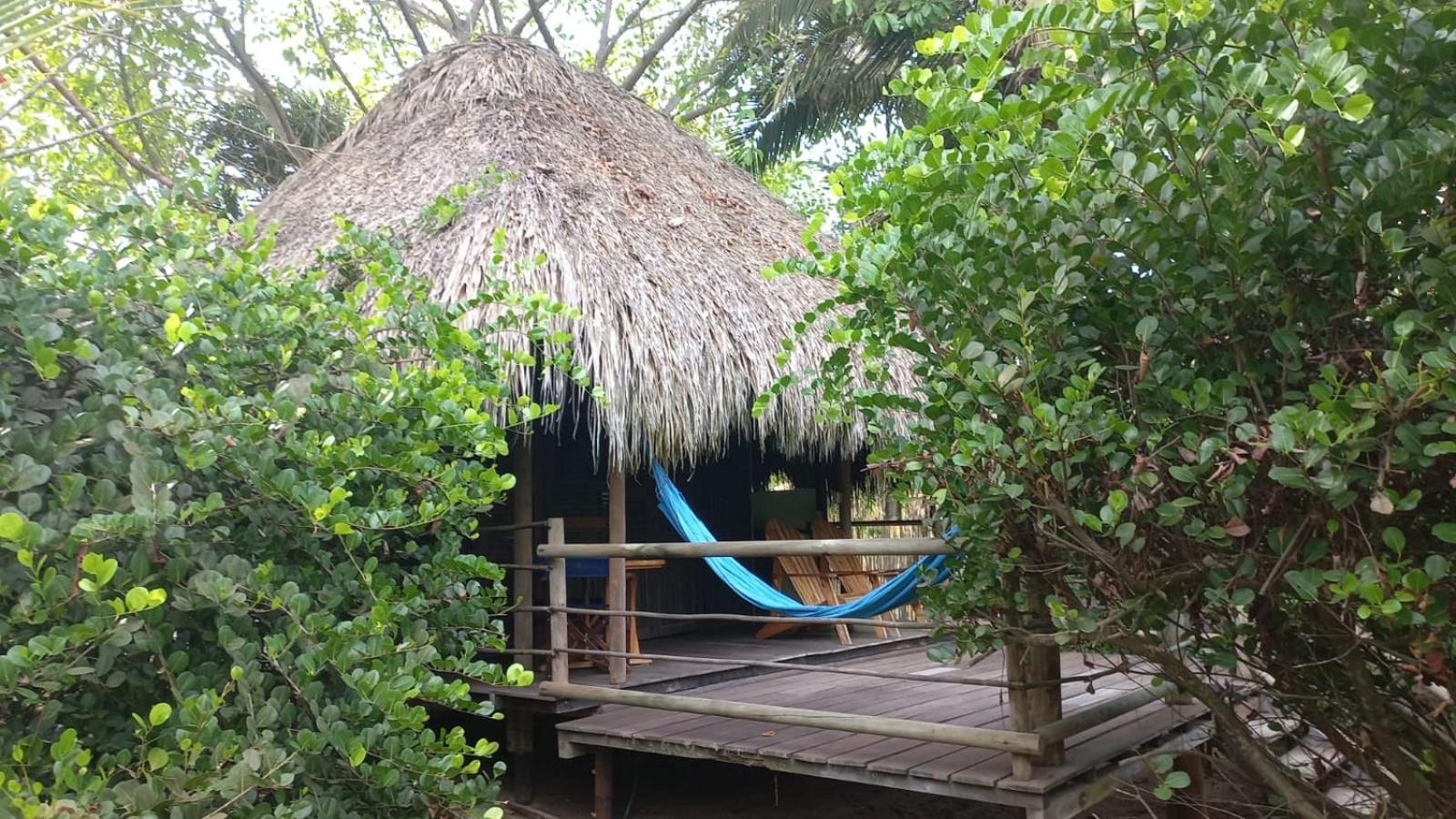 Guachaca Playa Pikua Ecolodge מראה חיצוני תמונה