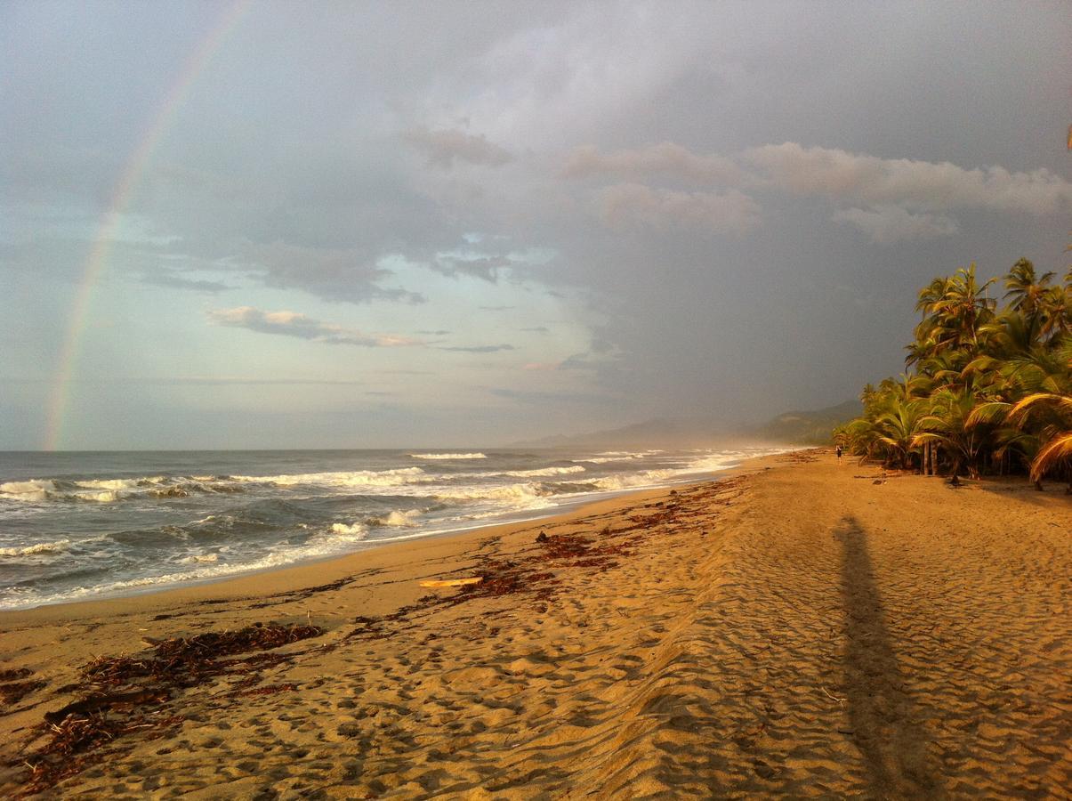 Guachaca Playa Pikua Ecolodge מראה חיצוני תמונה