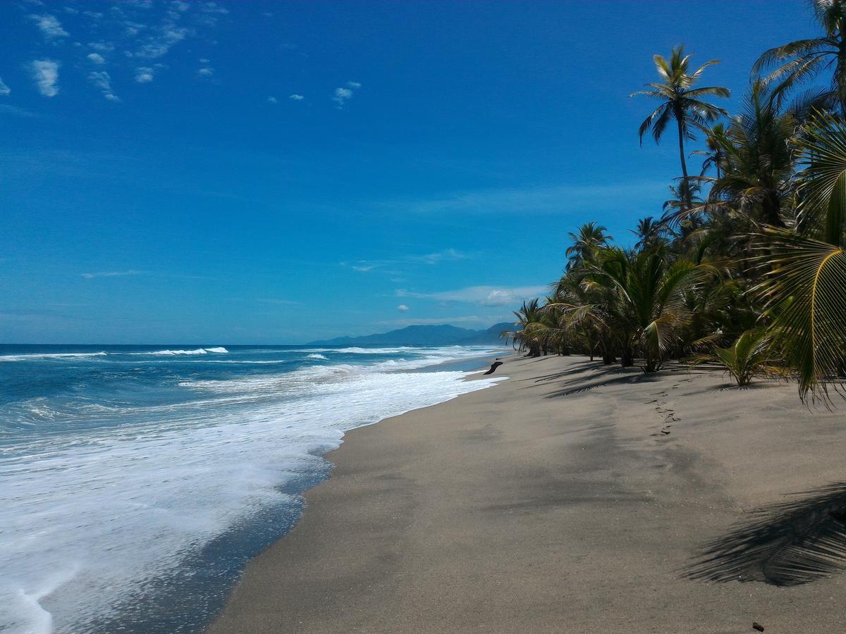 Guachaca Playa Pikua Ecolodge מראה חיצוני תמונה