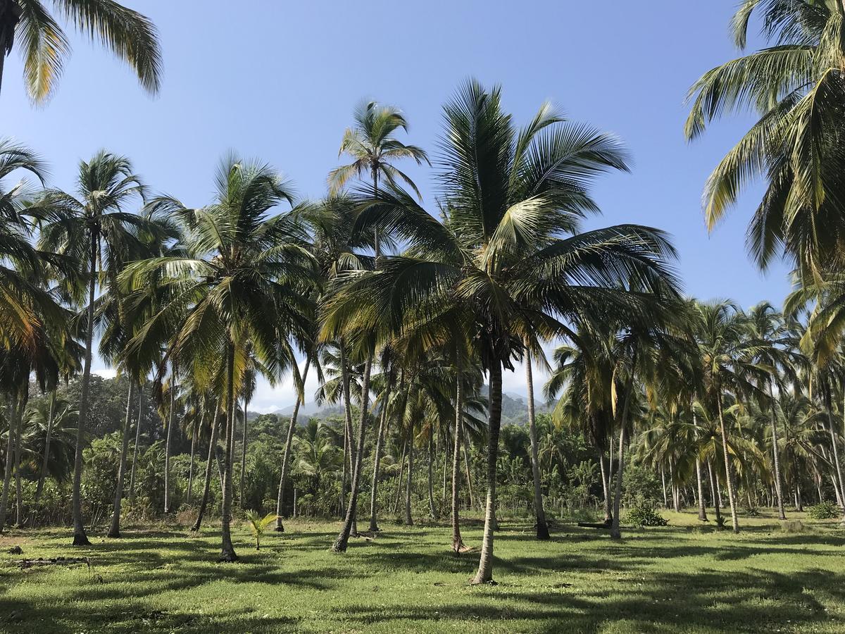 Guachaca Playa Pikua Ecolodge מראה חיצוני תמונה