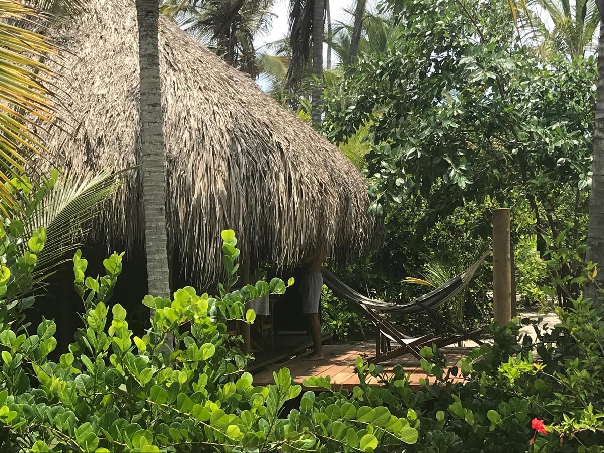 Guachaca Playa Pikua Ecolodge מראה חיצוני תמונה